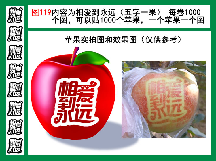 相爱到永远图119