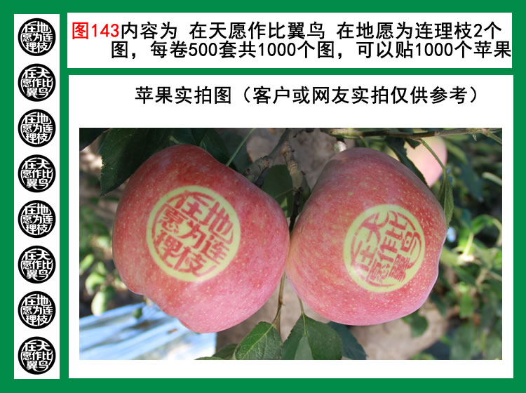 在天愿作比翼鸟