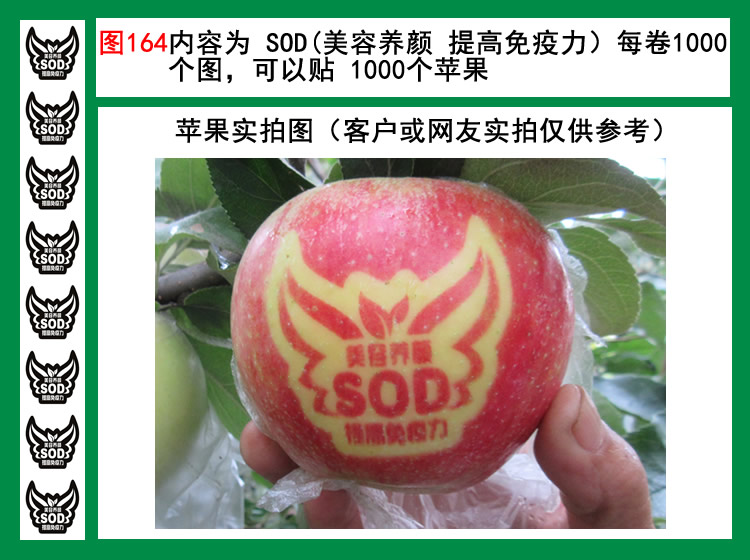 图164SOD