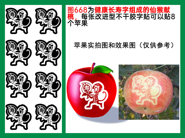 图668