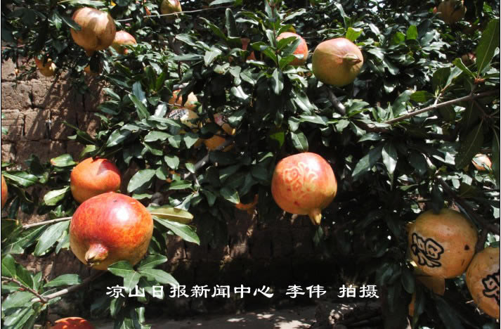 艺术长字石榴