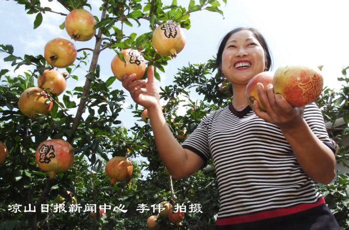 石榴贴字