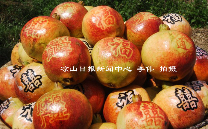 艺术石榴字贴