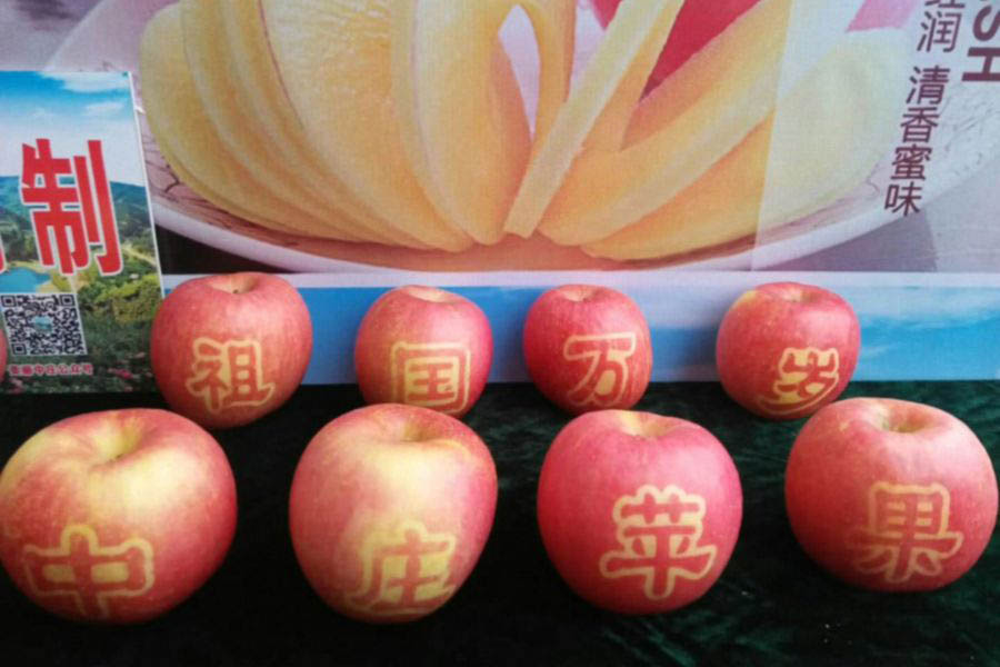 中庄苹果印字