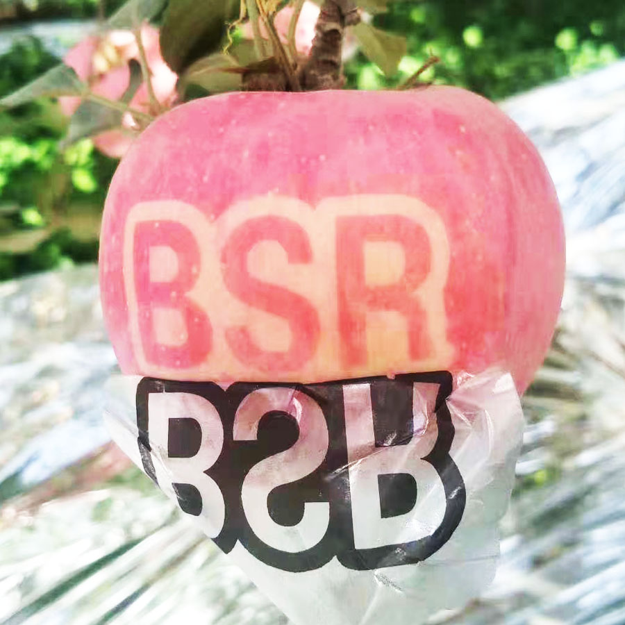 BSR印字苹果
