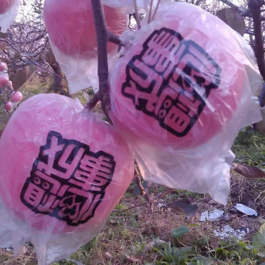 膜袋苹果长字