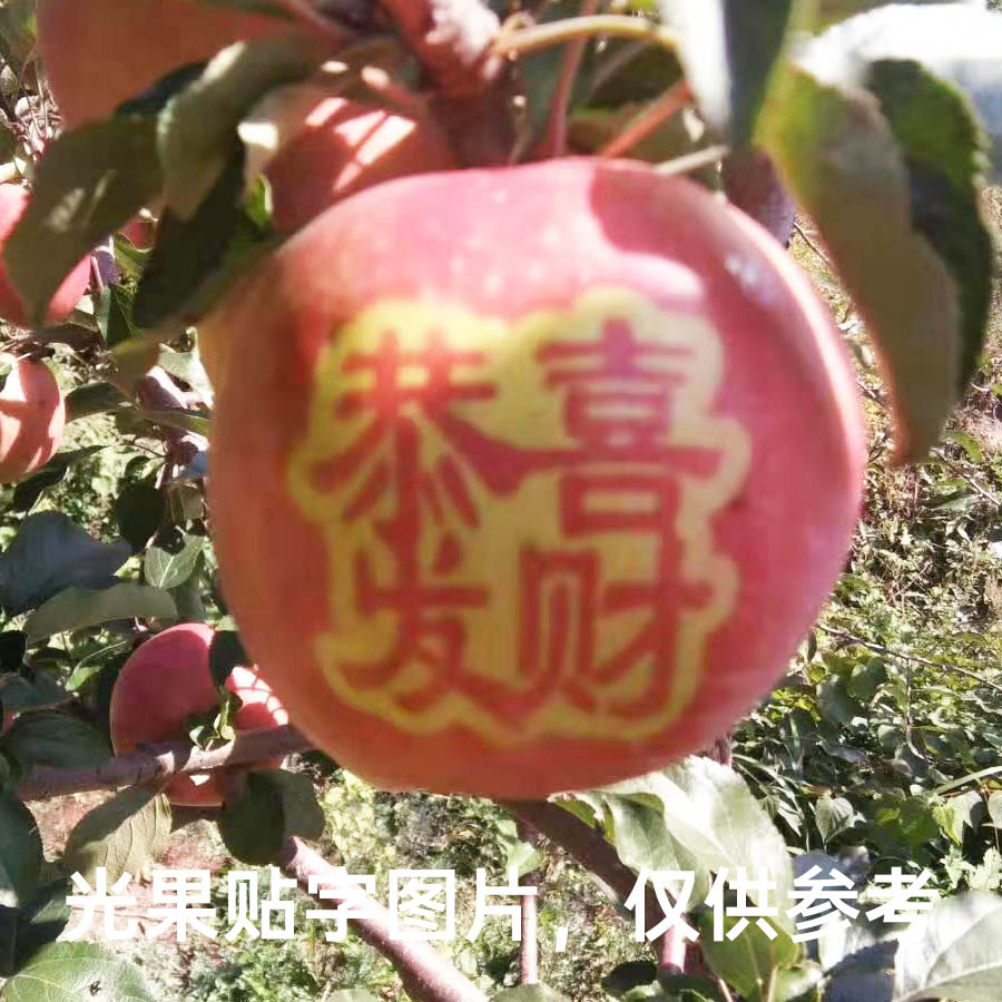 苹果光果恭喜发财贴字