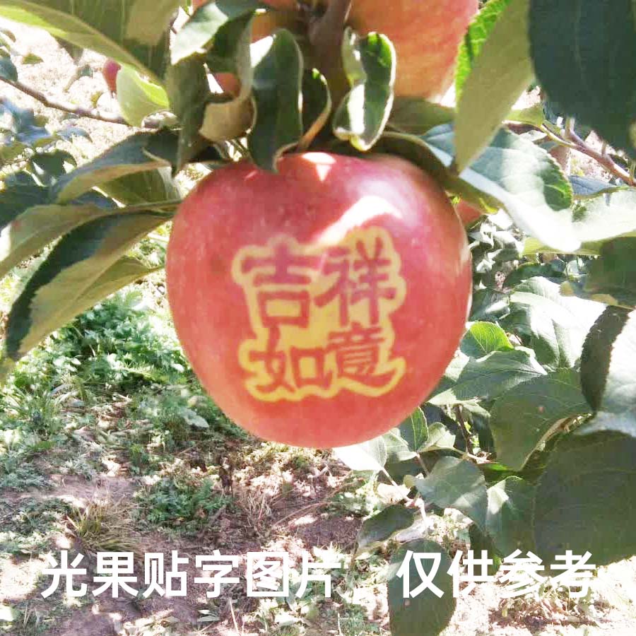 苹果光果贴字吉祥如意