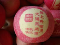 辰时果贴实拍