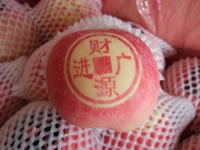 辰时果贴实拍