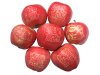 辰时果贴实拍