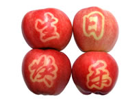 辰时果贴实拍