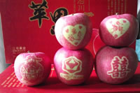 辰时果贴实拍