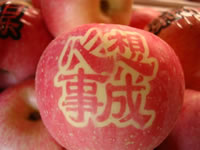辰时果贴实拍