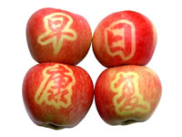 辰时果贴实拍