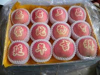 辰时果贴实拍
