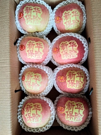辰时果贴实拍