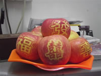 辰时果贴实拍