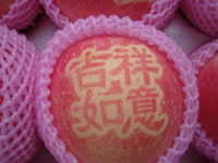 辰时果贴实拍