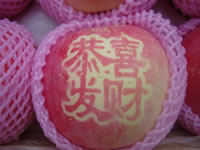 辰时果贴实拍
