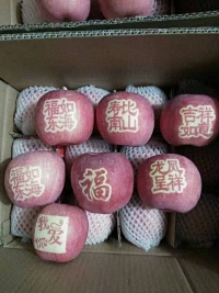 辰时果贴实拍