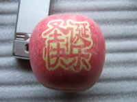 辰时果贴实拍