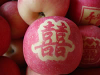 辰时果贴实拍