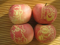 辰时果贴实拍
