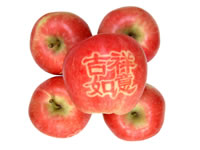 辰时果贴实拍