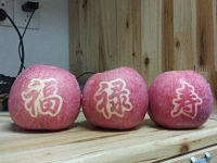辰时果贴实拍