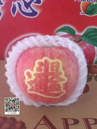 辰时果贴实拍