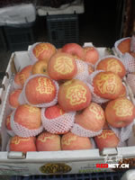辰时果贴实拍