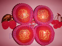 辰时果贴实拍