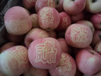 辰时果贴实拍