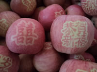 辰时果贴实拍