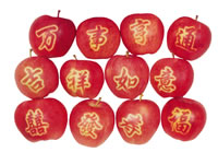 辰时果贴实拍