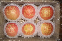 辰时果贴实拍