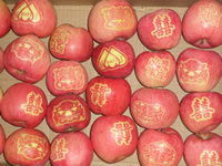 辰时果贴实拍