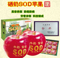 辰时果贴实拍