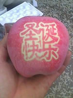 辰时果贴实拍