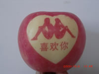 辰时果贴实拍