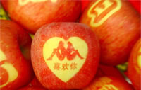 辰时果贴实拍