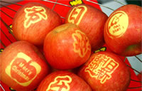 辰时果贴实拍