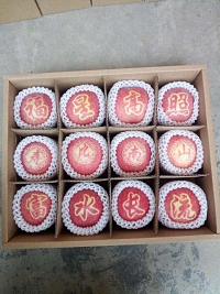 辰时果贴实拍