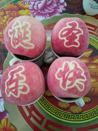 辰时果贴实拍