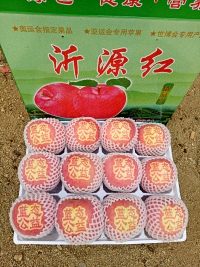 辰时果贴实拍