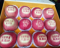 辰时果贴实拍