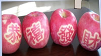 辰时果贴实拍