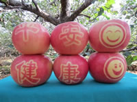 辰时果贴实拍