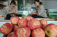 辰时果贴实拍